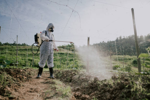 Best Local Pest Control Services  in Reamstown, PA
