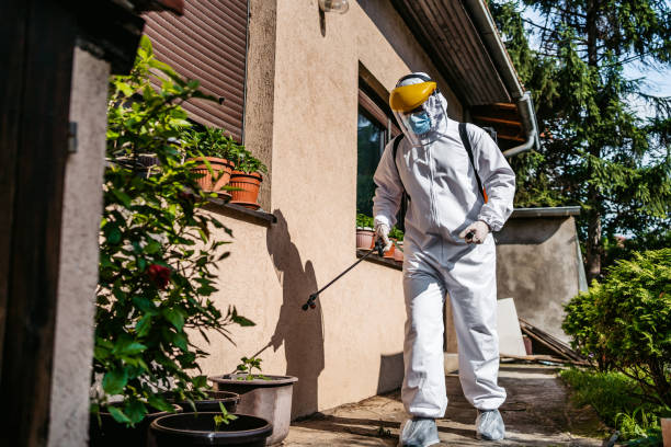 Best Emergency Pest Control  in Reamstown, PA