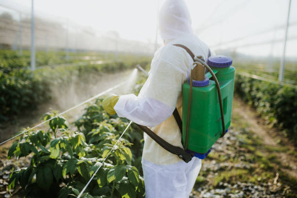 Professional Pest Control in Reamstown, PA